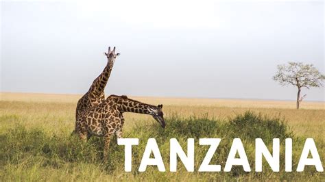 Tanzania Youtube