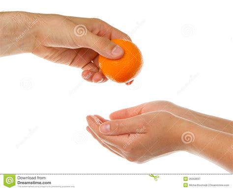Giving An Orange Stock Image Image Of Businessman Heal 26359937