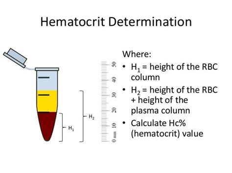 Hemoglobin And Hematocrit Determination