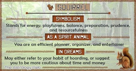 Squirrel Meaning And Symbolism The Astrology Web In 2022 Spirit