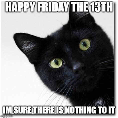 List 100 Wallpaper Seeing A Black Cat On Friday The 13th Superb 112023