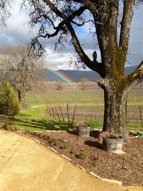 Rainbow Rivino Winery Winery Country Roads Vineyard