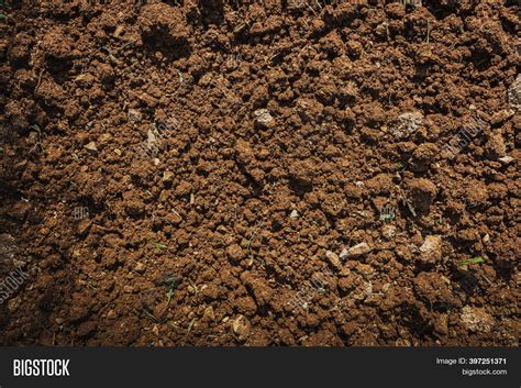 Textured Fertile Soil Image And Photo Free Trial Bigstock