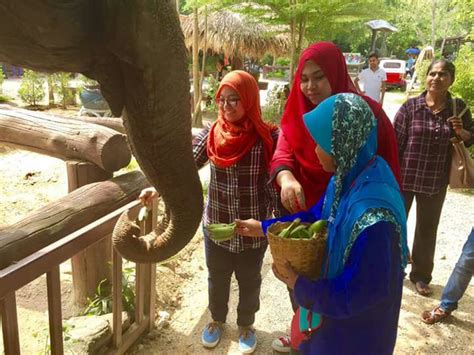 See more of van sewa ke hatyai krabi phuket on facebook. WADI BAS & VAN: SEWA VAN TERMASUK PEMANDU KE HATYAI ...