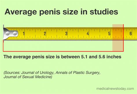 Big Cock What Size Is The Average Penis