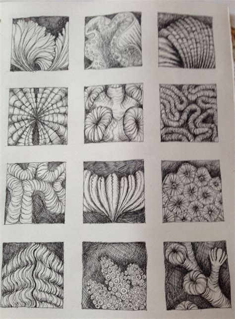 Pen Drawing Of Natural Forms Inspired By Ernst Haeckel By Julia Wright