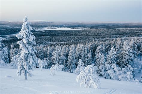 10 Wonderful Things To Do In Lapland In Winter Finland The Sandy Feet