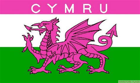Cymru Wales Pink 5 X 3 Flag