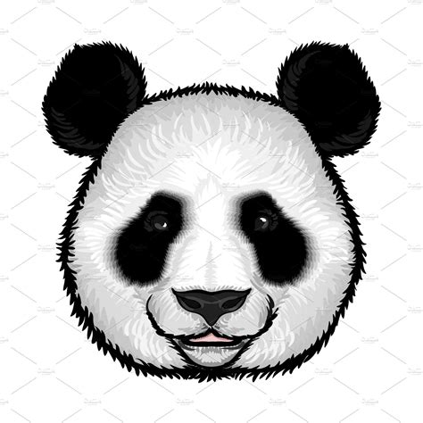 Cute Fluffy Panda Face Animal Illustrations ~ Creative Market
