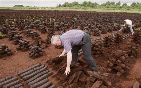 How To Make Peat Fuel Pellets From Peat Harvesting To Peat Pellet Mill