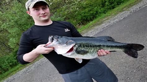 New Ky State Record Largemouth Bass 14 Pounds 95 Ounces Youtube