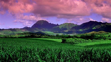 Nature Landscape Field Green Mountains Clouds Sunset Daylight Trees Hawaii Wallpapers