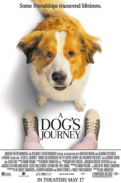 A dog's journey, which is a film from both amblin entertainment and reliance entertainment, is distributed domestically by universal pictures. Win Passes For Two To An Advance Screening of Universal ...