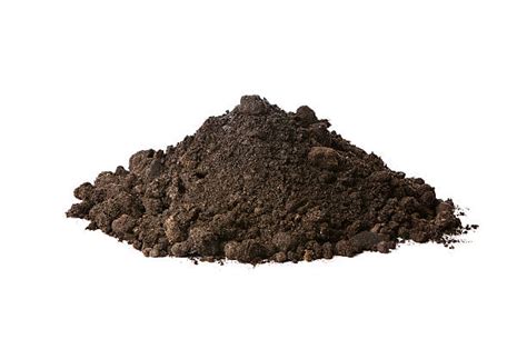 Mound Of Dirt Stock Photos Pictures And Royalty Free Images Istock