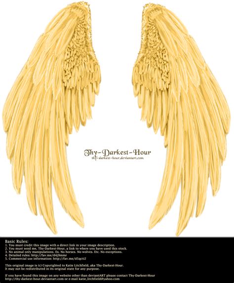 Angel Wings Clip Art Wing Tattoos On Back Golden Wings