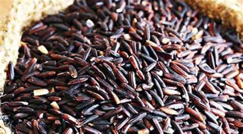 নতুন সুপার ফুড ব্ল্যাক রাইস – Magura News