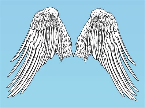 Angel Wings Vector Art And Graphics
