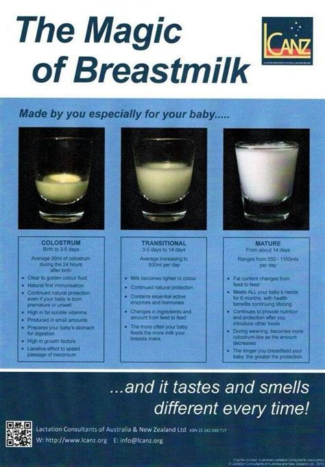 Colostrum Vs Breast Milk Specialized Milk