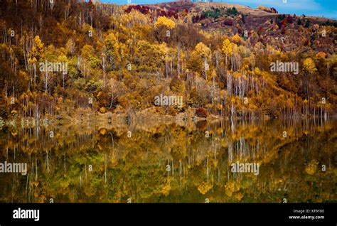 Colorful Autumn Trees Reflecting In Lake Stock Photo Alamy