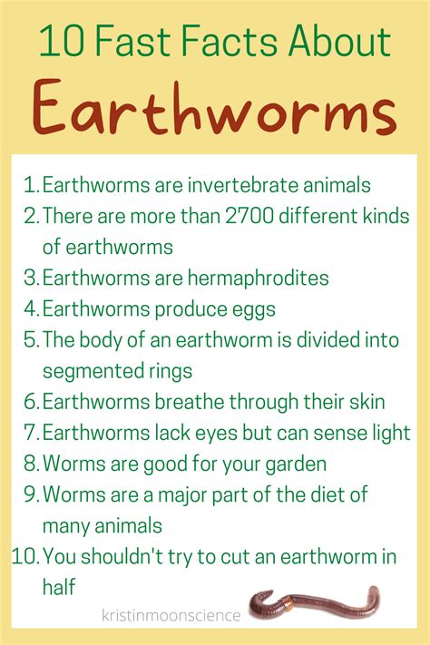 10 Fast Facts About Earthworms Kristin Moon Science