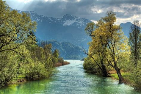 Free Photo River And Trees Forest Green Landscape Free Download