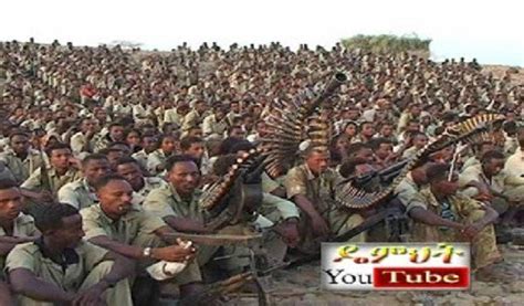 The tigray are the largest ethnic group in the ethiopian pronunciation: Tigray People Democratic Movement rants TPLF slang