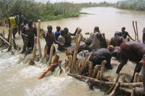 Damming Nigerias Wetlands People Communities Work Together To Restore