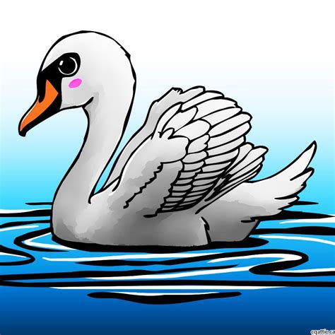 Swan Drawing Images At Getdrawings Free Download