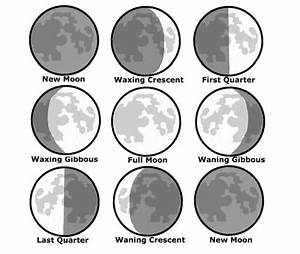 Moon Phase Chart