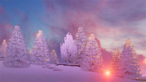 Snow Covered Firs Under Scenic Sunset Sky Stock Illustration