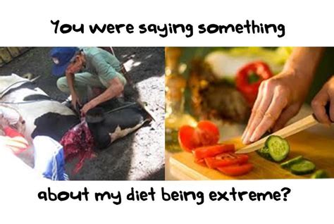 Anything Else I Hate People Vegan Lifestyle Going Vegan By The Way True Stories Extreme
