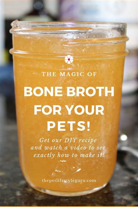 The Benefits Of Bone Broth For Your Dog And Some Recipes · The Pet