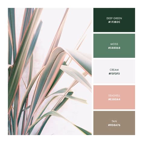 How To Create A Color Palette For Your Brand Plus Five Palettes You