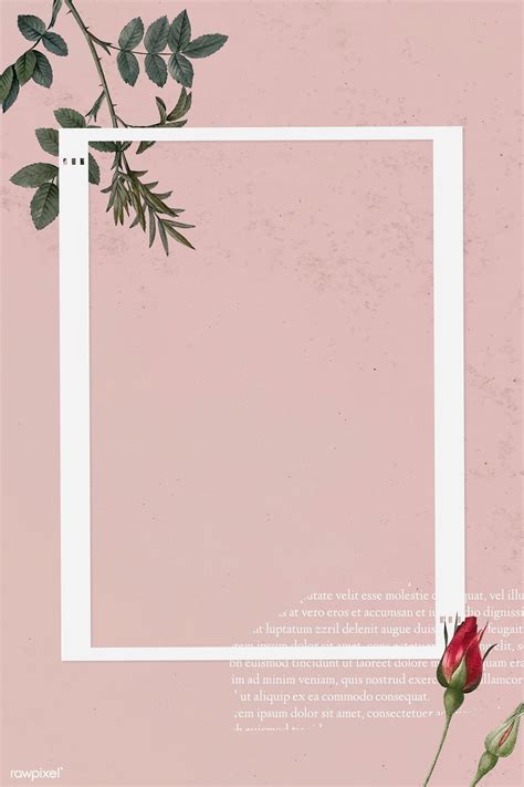 Blank Collage Photo Frame Template On Pink Background Vector Premium