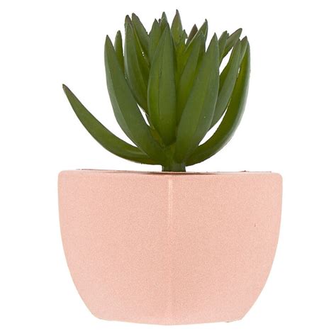 Magnetic Faux Succulent Plant Rose Gold Icing Us