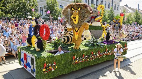 Debrecen városa 1966 óta a nemzetközi hírű virágkarnevállal készül szent istván király és az új kenyér ünnepére. Olyan virágkarnevál még nem volt Debrecenben, mint a ...