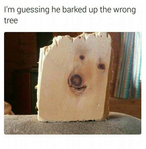 105 Best Woodworking Humour Images On Pinterest Woodworking