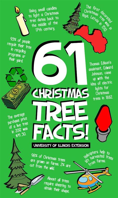 61 Fun Christmas Tree Facts For Your Amusement This Holiday Season