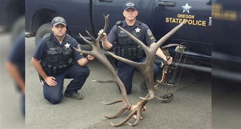 Oregon Poachers To Pay Thousands In Restitution For Killing Of 8x6 Bull