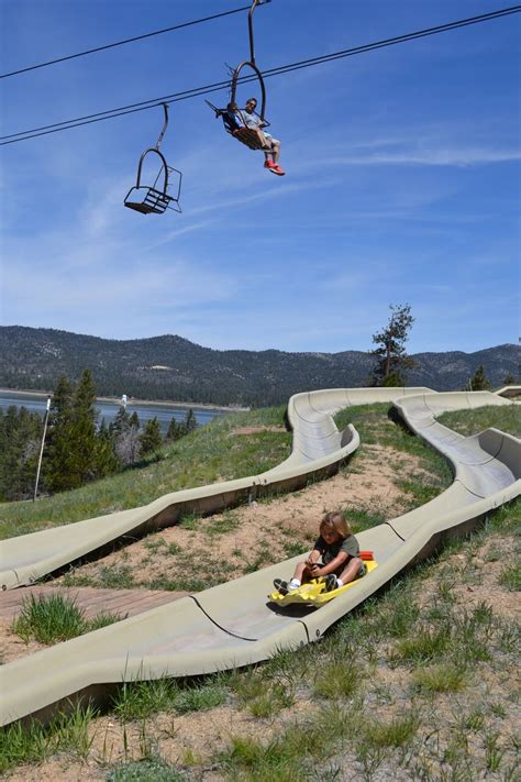 Summer To Do At Big Bears Alpine Slide Magic Mountain Latf Usa News