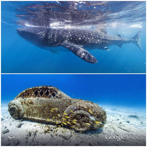 The great barrier reef collection was part of the first group of underwater panoramic images added to google maps, the next step in our quest to provide people with the most comprehensive. Google adds new underwater Street View scenes to Maps ...