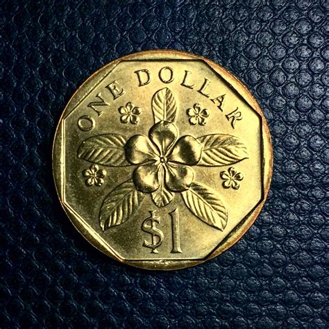 Check spelling or type a new query. 1 Singapore dollar ( Reverse 1987) | World coins, Dollar ...
