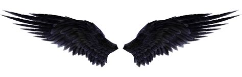 Black Wings Png Clipart Png All Png All
