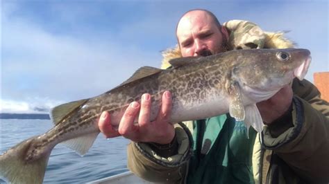 Winter Cod Fishing Alaska Youtube