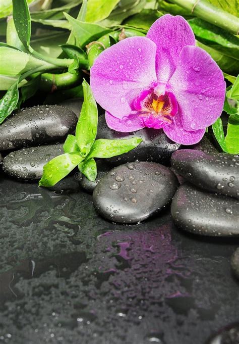 Spa Concept With Zen Stones Orchid Flower And Bamboo Stock Image