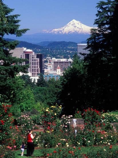 Visit portland's official rose at this historic landmark. 'People at the Washington Park Rose Test Gardens with Mt ...