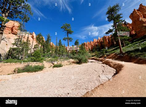 The Hoodoos In Bryce Canyon National Park Utah Stock Photo Alamy