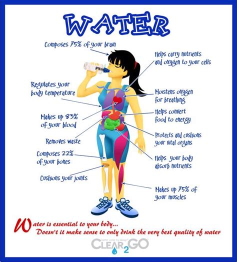Health And Fitness Benefits Of Drinking Water Why Drink Water Water Facts
