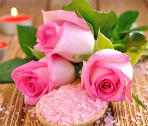 Pin By Tej On Pretty In Pink Rose Romantic Roses Romantic Candles