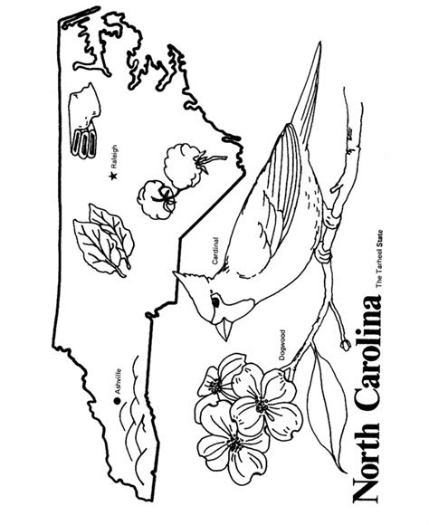 North Carolina State Outline Coloring Page North Carolina History